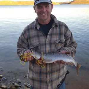 Meet your Posher, Marty